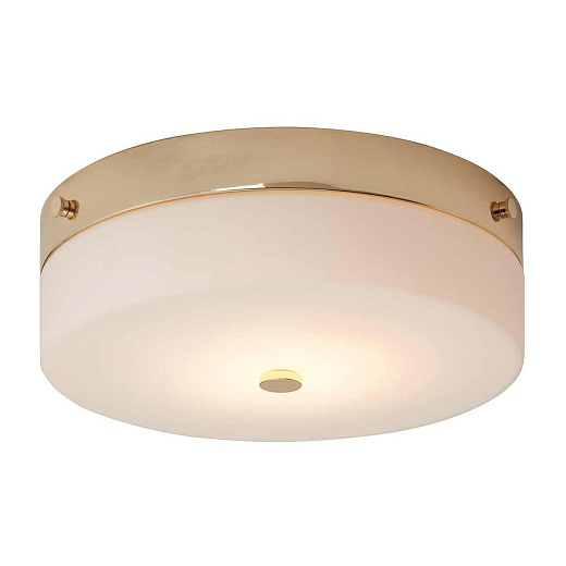 TAMAR-F-L-PG TAMAR Polished Gold/Opal// потолочный GX53 1х5.7  х  TAMAR-F-L-PG