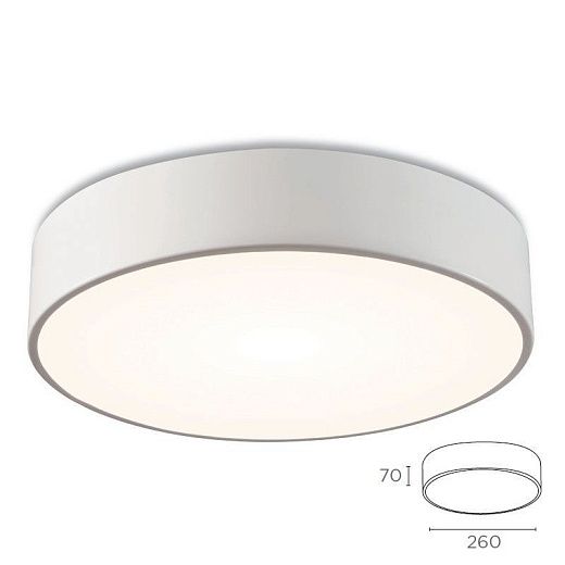 325 40 50 42 D=26 IO LED matt white///white потолочный LED 1х15  х  325 40 50 42 D=26