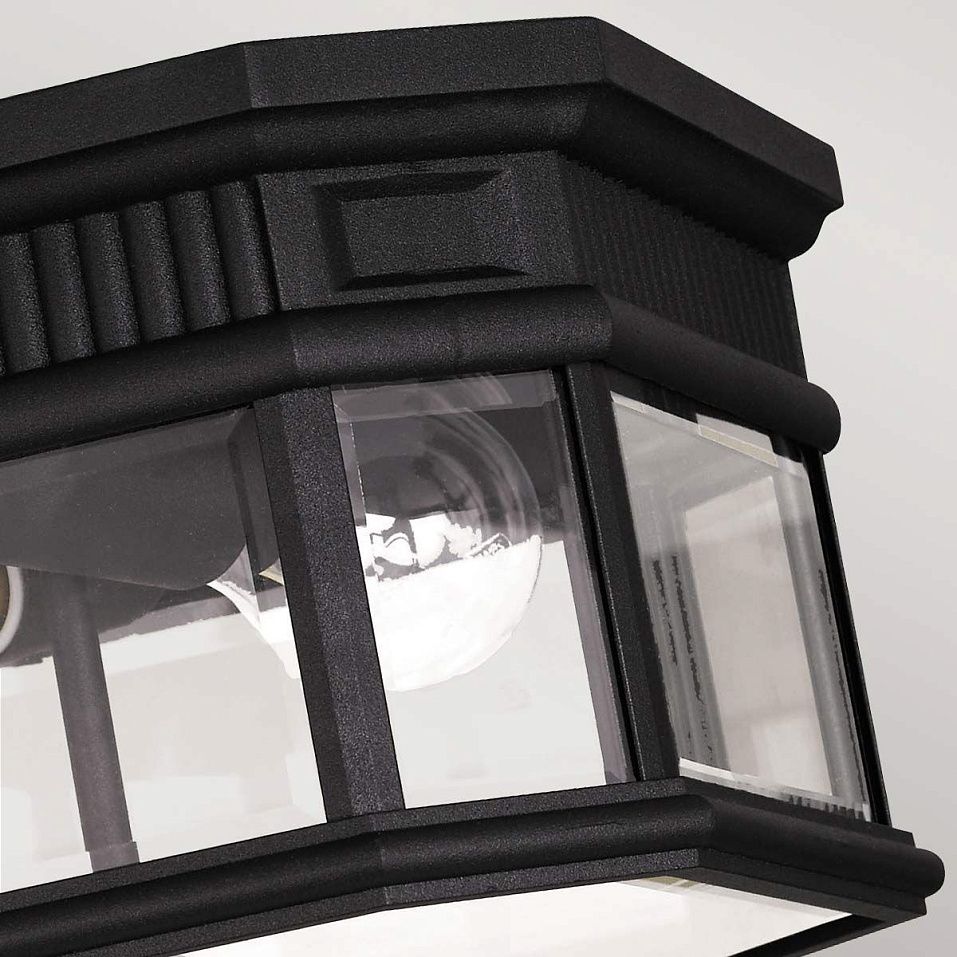 FE-COTSLN-F-BK Cotswold Lane black/clear// потолочный E27 2х60  х   