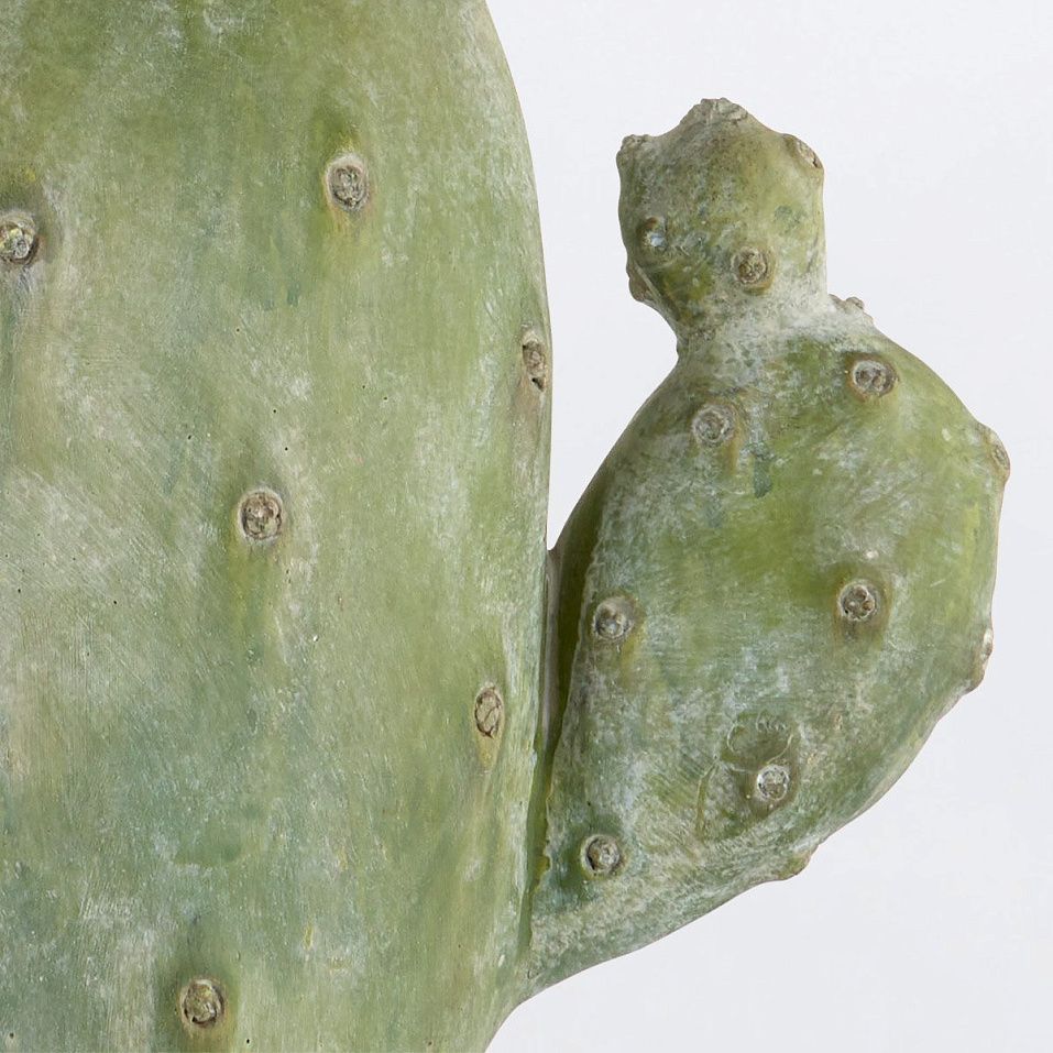 QNC-CACTUS-TL CACTUS Antiqued Green/natural// настольный E27 1х100  х   