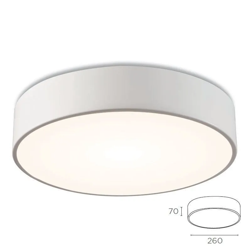 325 40 50 42 D=26 IO LED matt white///white потолочный LED 1х15  х   