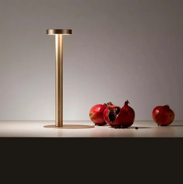 1A03118 TeTaTeT gold matt/// портативный LED 1х2  х   